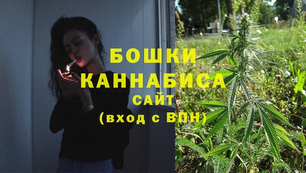 ГАЛЛЮЦИНОГЕННЫЕ ГРИБЫ Беломорск
