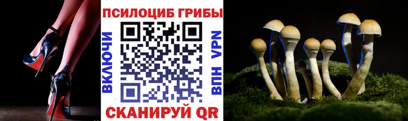 кракен вход как найти Арзамас Псилоцибиновые грибы Cubensis